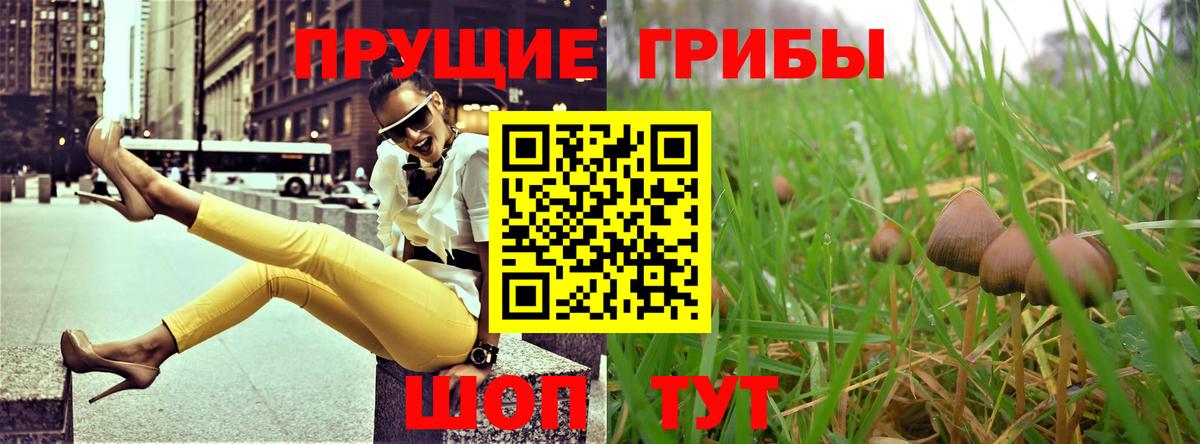 Псилоцибиновые грибы ЛСД Красный Сулин
