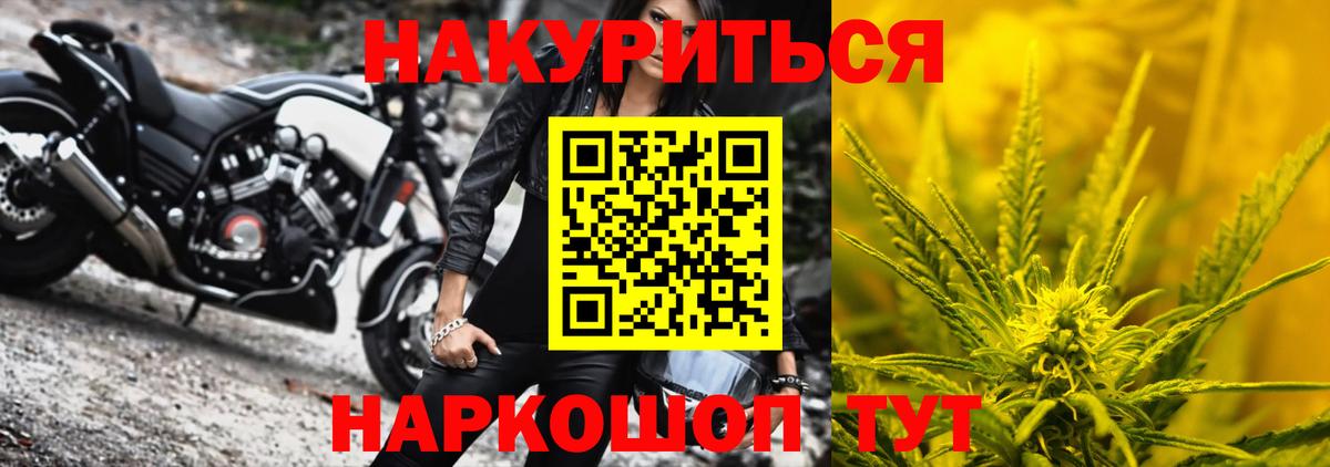 Марихуана сатива Красный Сулин
